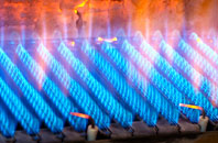 Corton gas fired boilers